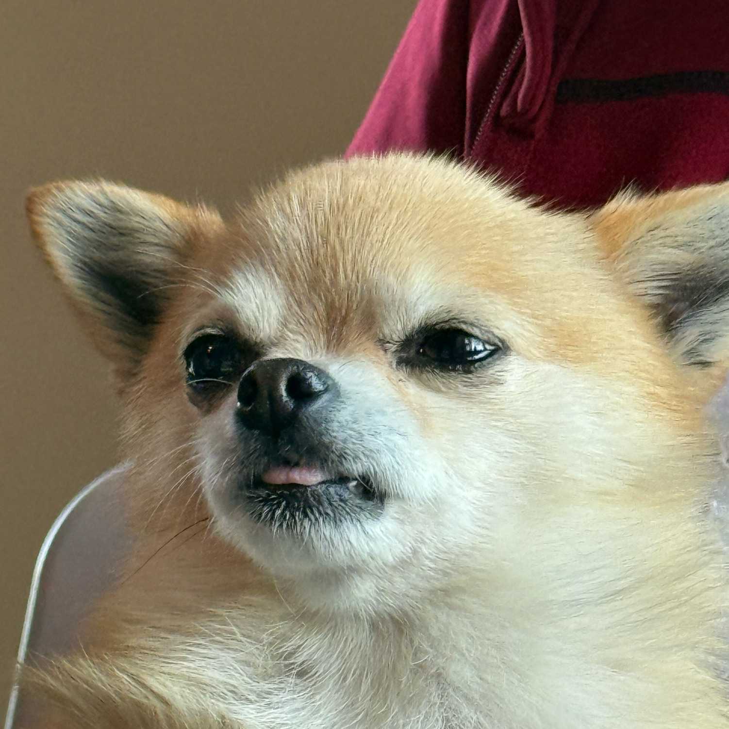 This is a sample do with a crazy long name