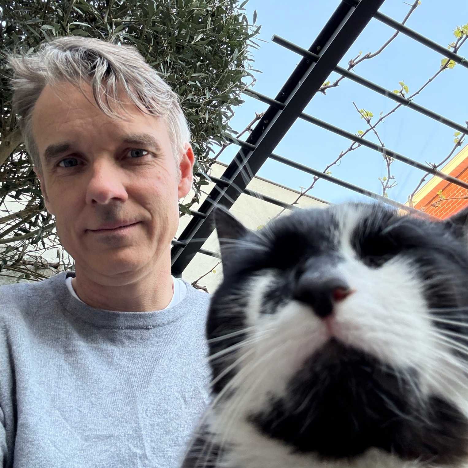 Kim Sitter Stripe Pending Req